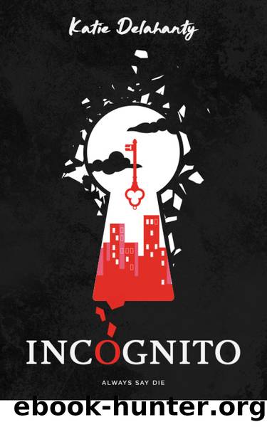 Incognito by Katie Delahanty