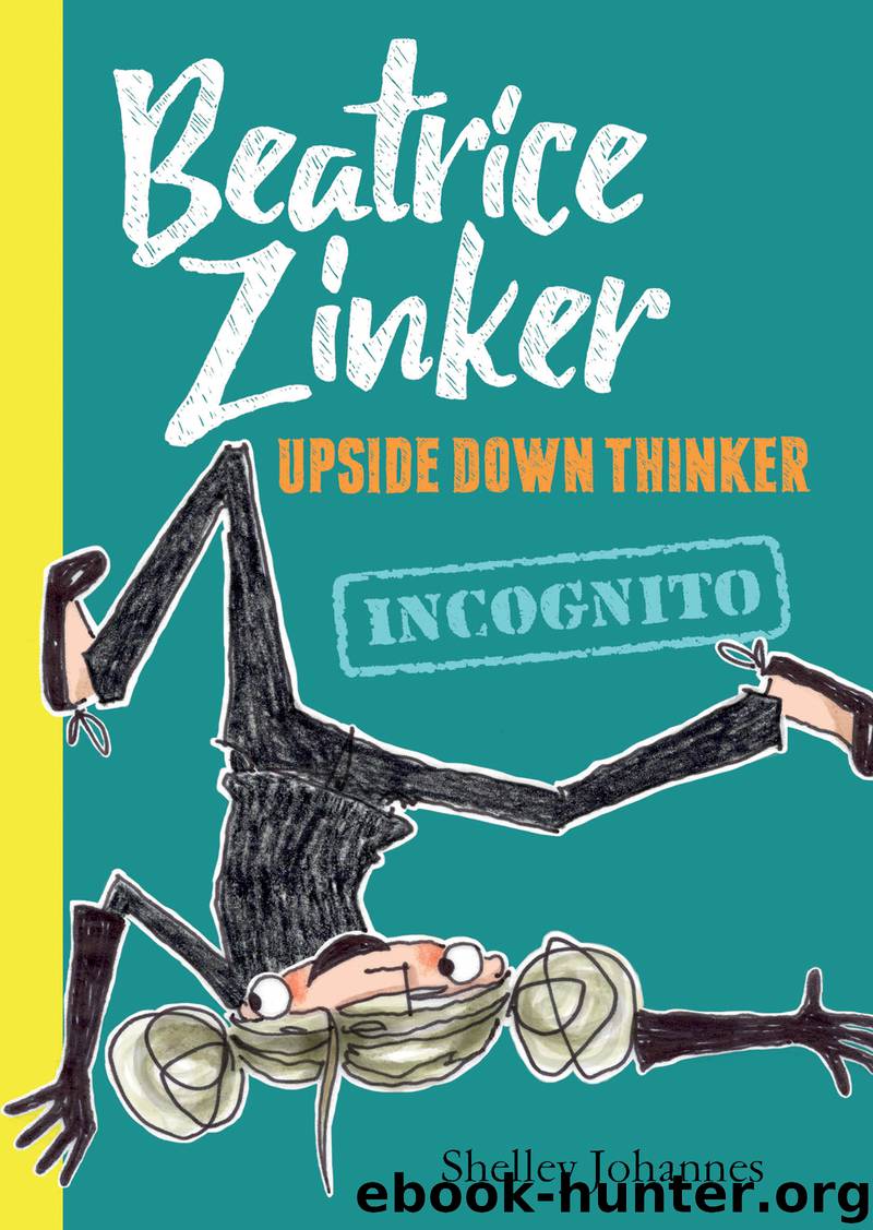 Incognito by Shelley Johannes