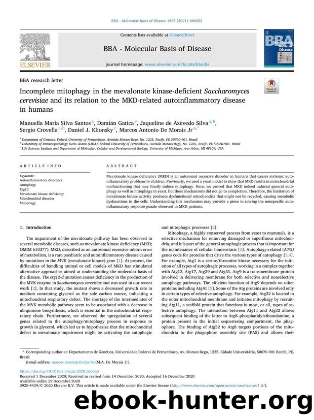 Incomplete mitophagy in the mevalonate kinase-deficient Saccharomyces cerevisiae and its relation to the MKD-related autoinflammatory disease in humans by unknow