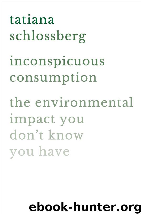 Inconspicuous Consumption by Tatiana Schlossberg