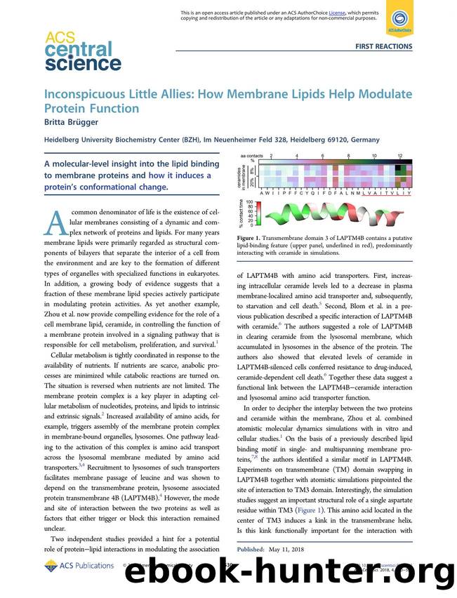 Inconspicuous Little Allies: How Membrane Lipids Help Modulate Protein Function by Britta Brügger