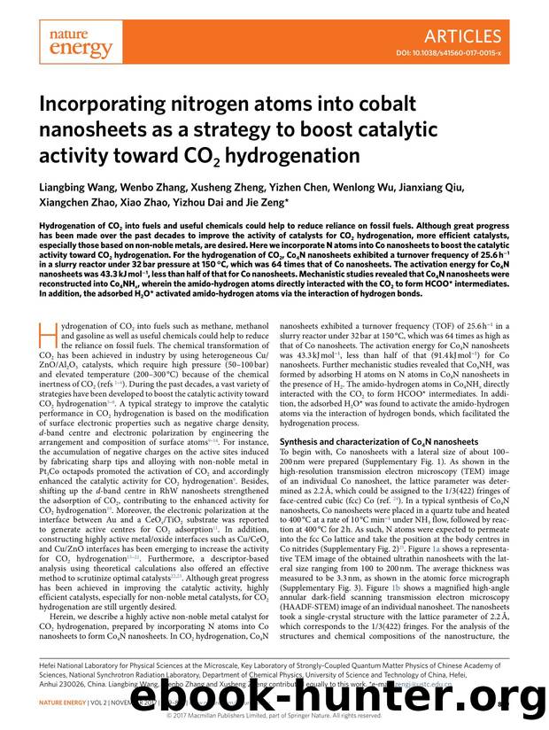 Incorporating nitrogen atoms into cobalt nanosheets as a strategy to boost catalytic activity toward CO2 hydrogenation by unknow