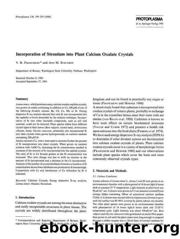 Incorporation of strontium into plant calcium oxalate crystals by Unknown