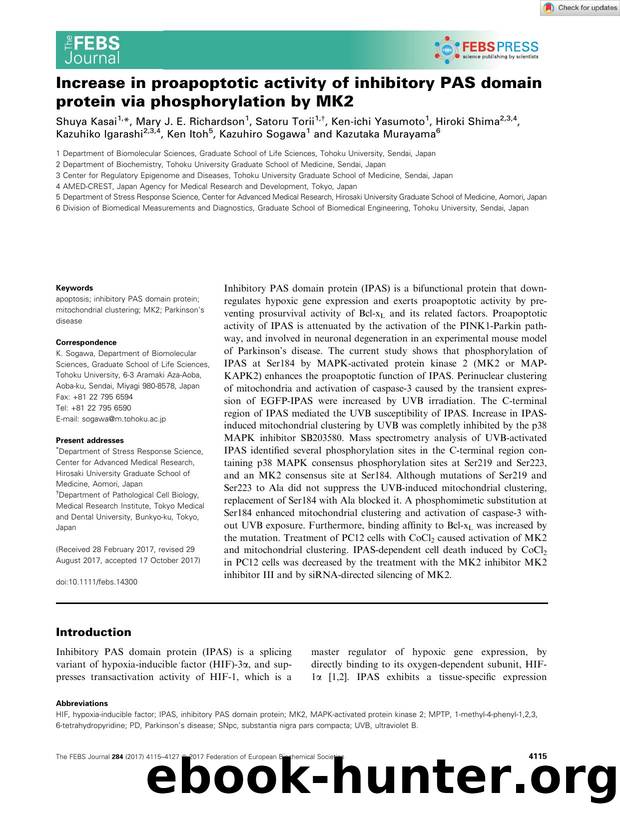 Increase in proapoptotic activity of inhibitory PAS domain protein via phosphorylation by MK2 by Unknown