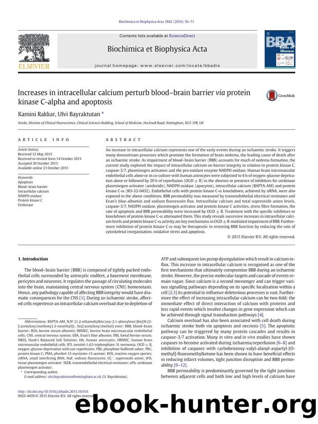 Increases in intracellular calcium perturb blood-brain barrier via protein kinase C-alpha and apoptosis by Kamini Rakkar & Ulvi Bayraktutan