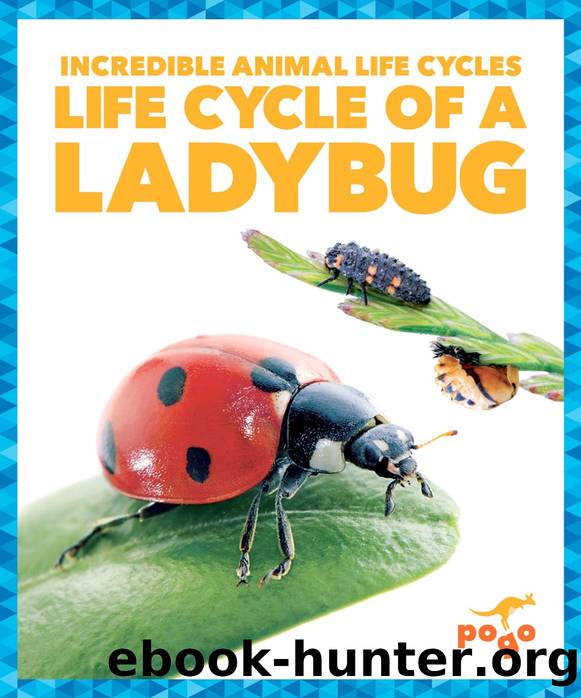 Incredible Animal Life Cycles: Life Cycle of a Ladybug by Karen Latchana Kenney