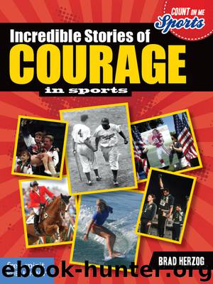 Incredible Stories of Courage in Sports by Brad Herzog