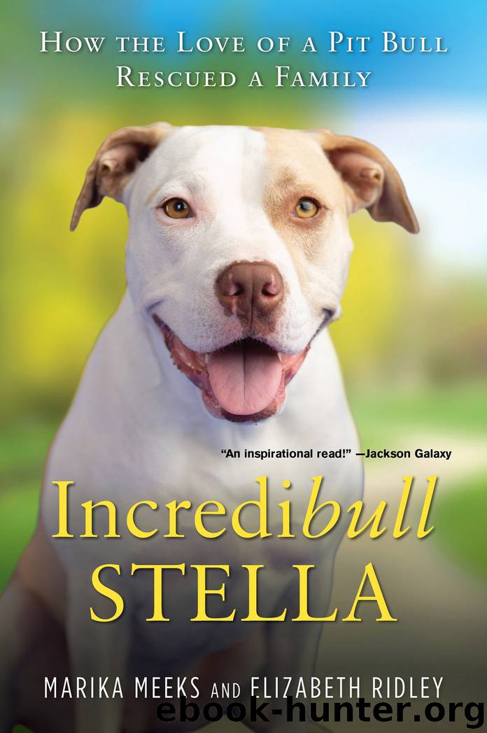Incredibull Stella by Marika Meeks