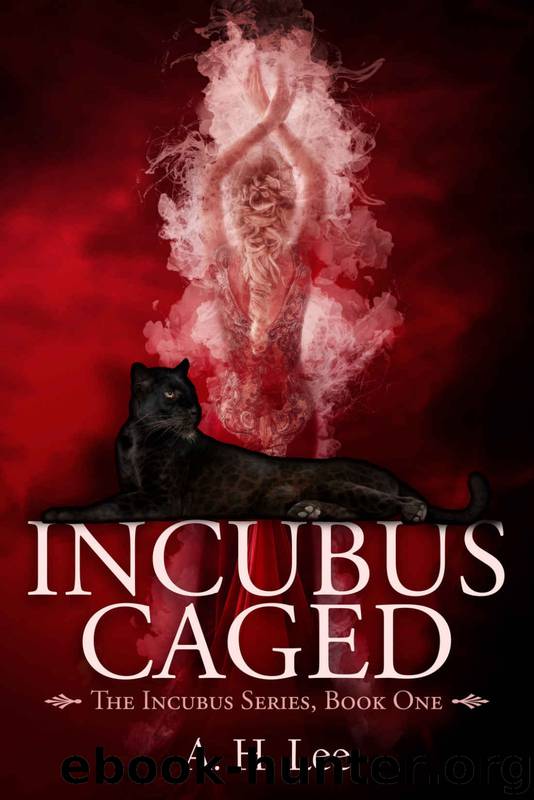 Incubus Caged by A H Lee