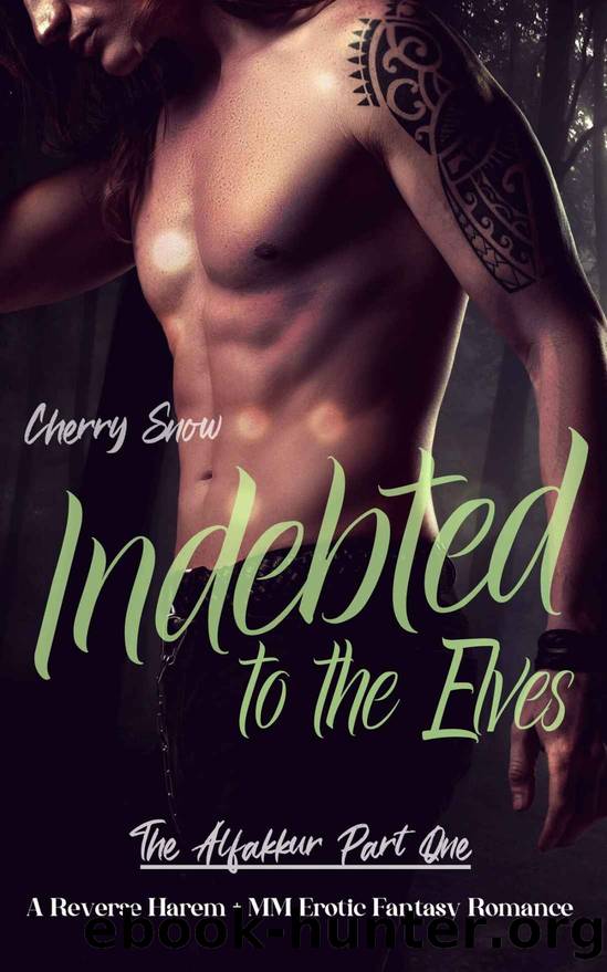 Indebted to the Elves: A Reverse Harem + MM Erotic Fantasy Romance (The Alfakkur Series Book 1) by Cherry Snow