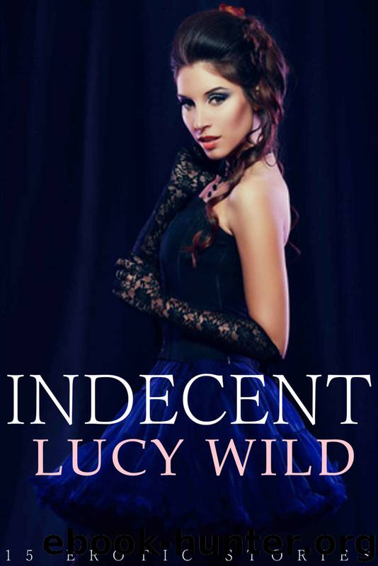 Indecent: 15 Erotic Victorian Romance Story Box Set by Lucy Wild
