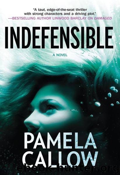 Indefensible by Pamela Callow