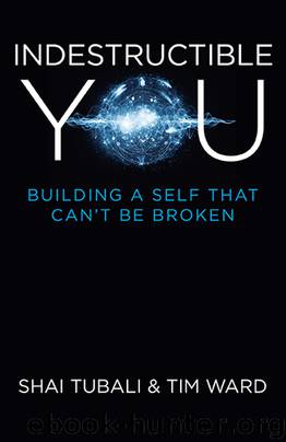 Indestructible You by Shai Tubali