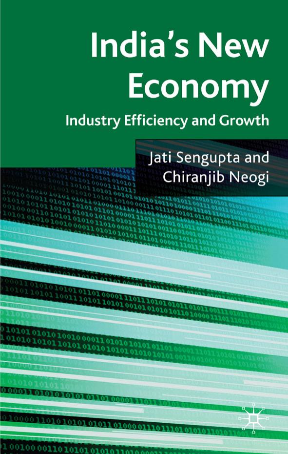 India's New Economy: Industry Efficiency and Growth by Jati K. Sengupta Chiranjib Neogi