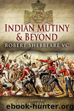 Indian Mutiny and Beyond by Robert Shebbeare VC (retail) (epub)