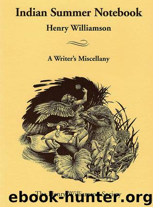 Indian Summer Notebook by Henry Williamson