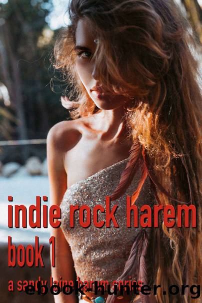 Indie Rock Harem Book 1: An MFFF hot harem on the road tale by Sandy Laine