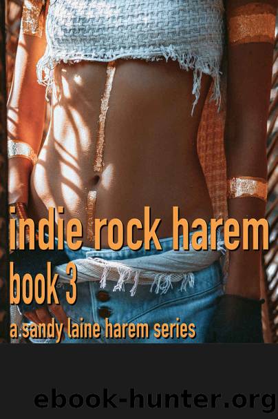 Indie Rock Harem Book 3: An MFFF hot harem on the road tale by Sandy Laine