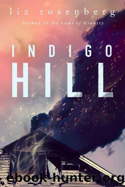 Indigo Hill_A Novel by Liz Rosenberg