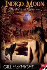 Indigo Moon by Gill McKnight