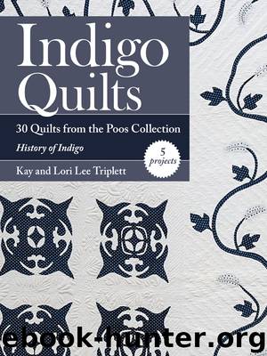 Indigo Quilts by Kay Triplett