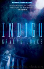 Indigo by Graham Joyce