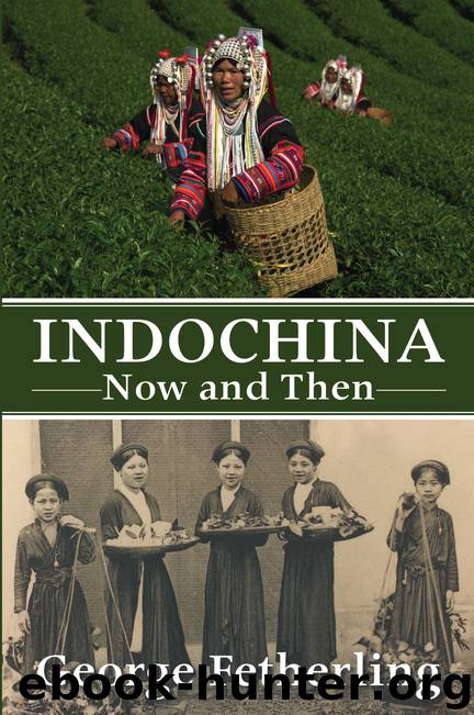 Indochina Now and Then by George Fetherling