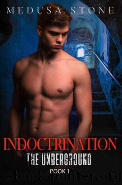 Indoctrination: The Underground series. Book 1 by Medusa Stone