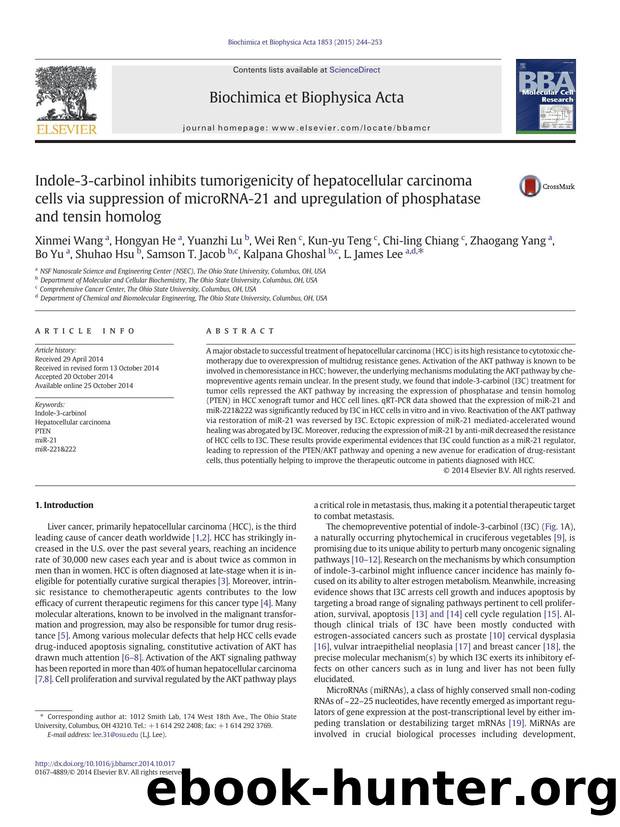 Indole-3-carbinol inhibits tumorigenicity of hepatocellular carcinoma cells via suppression of microRNA-21 and upregulation of phosphatase and tensin homolog by unknow