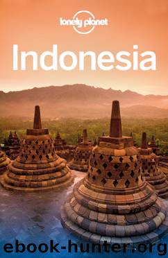 Indonesia Travel Guide by Lonely Planet