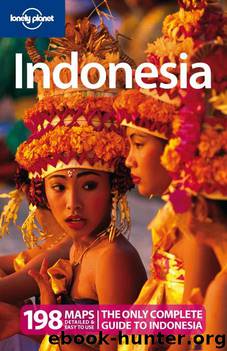 Indonesia by Ryan Ver Berkmoes
