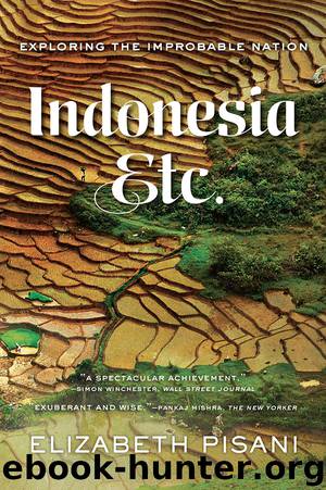Indonesia, Etc. by Elizabeth Pisani