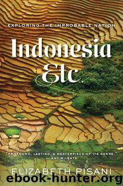Indonesia, Etc.: Exploring the Improbable Nation by Elizabeth Pisani