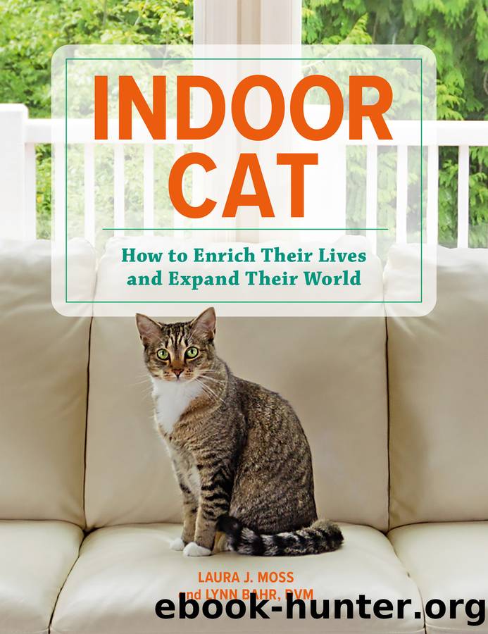 Indoor Cat by Laura J. Moss