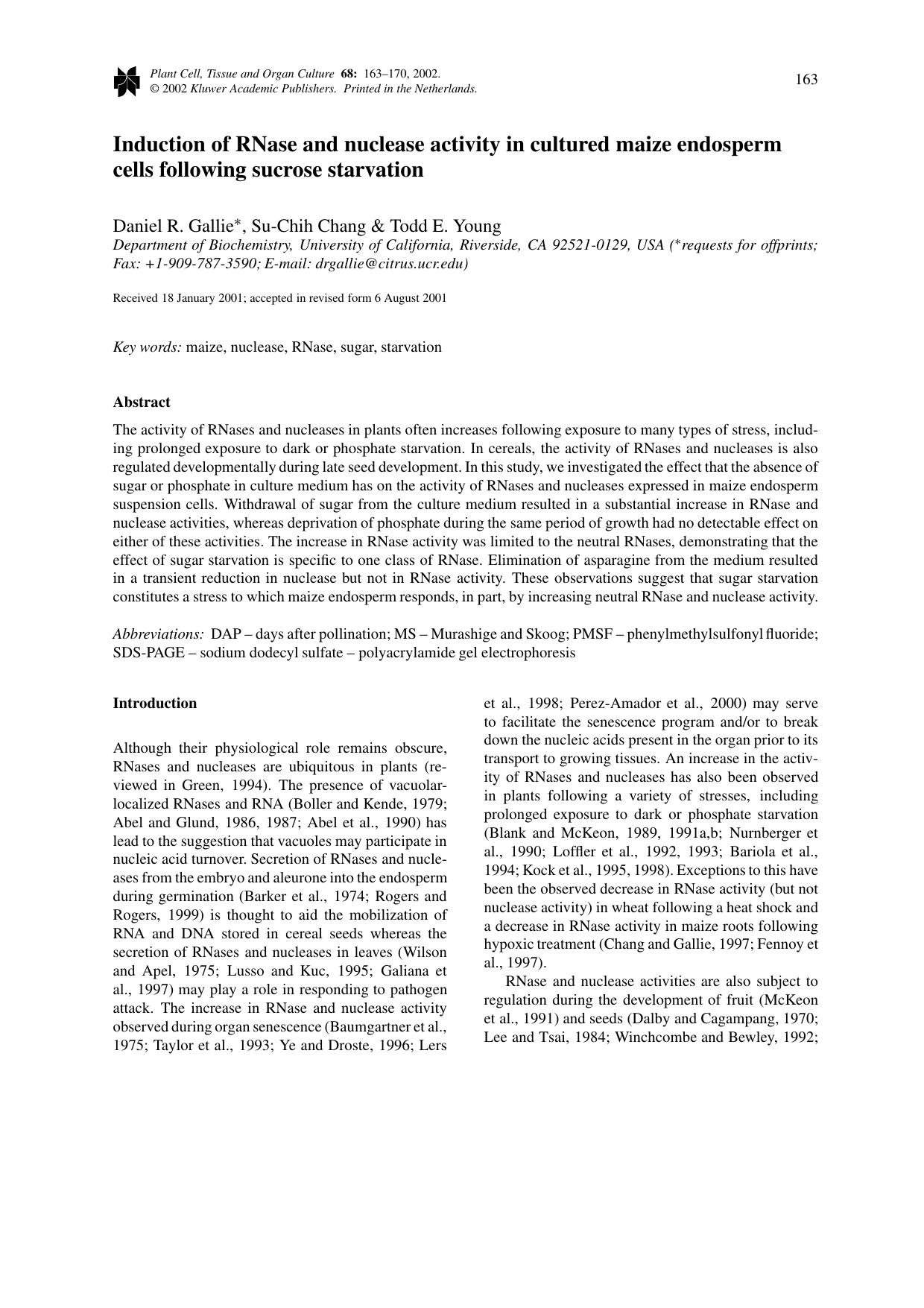 Induction of RNase and nuclease activity in cultured maize endosperm cells following sucrose starvation by Unknown