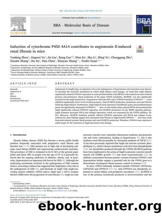 Induction of cytochrome P450 4A14 contributes to angiotensin II-induced renal fibrosis in mice by unknow
