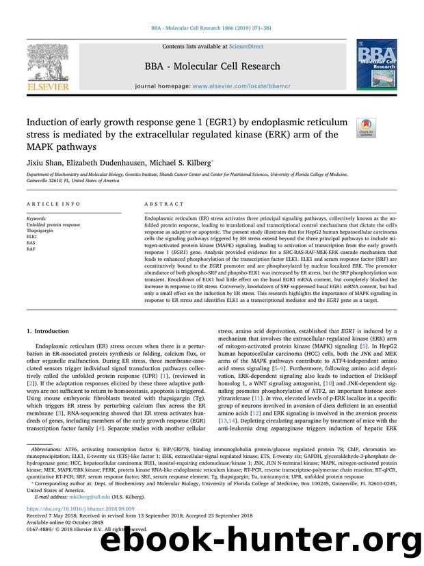 Induction of early growth response gene 1 (EGR1) by endoplasmic reticulum stress is mediated by the extracellular regulated kinase (ERK) arm of the MAPK pathways by Jixiu Shan & Elizabeth Dudenhausen & Michael S. Kilberg