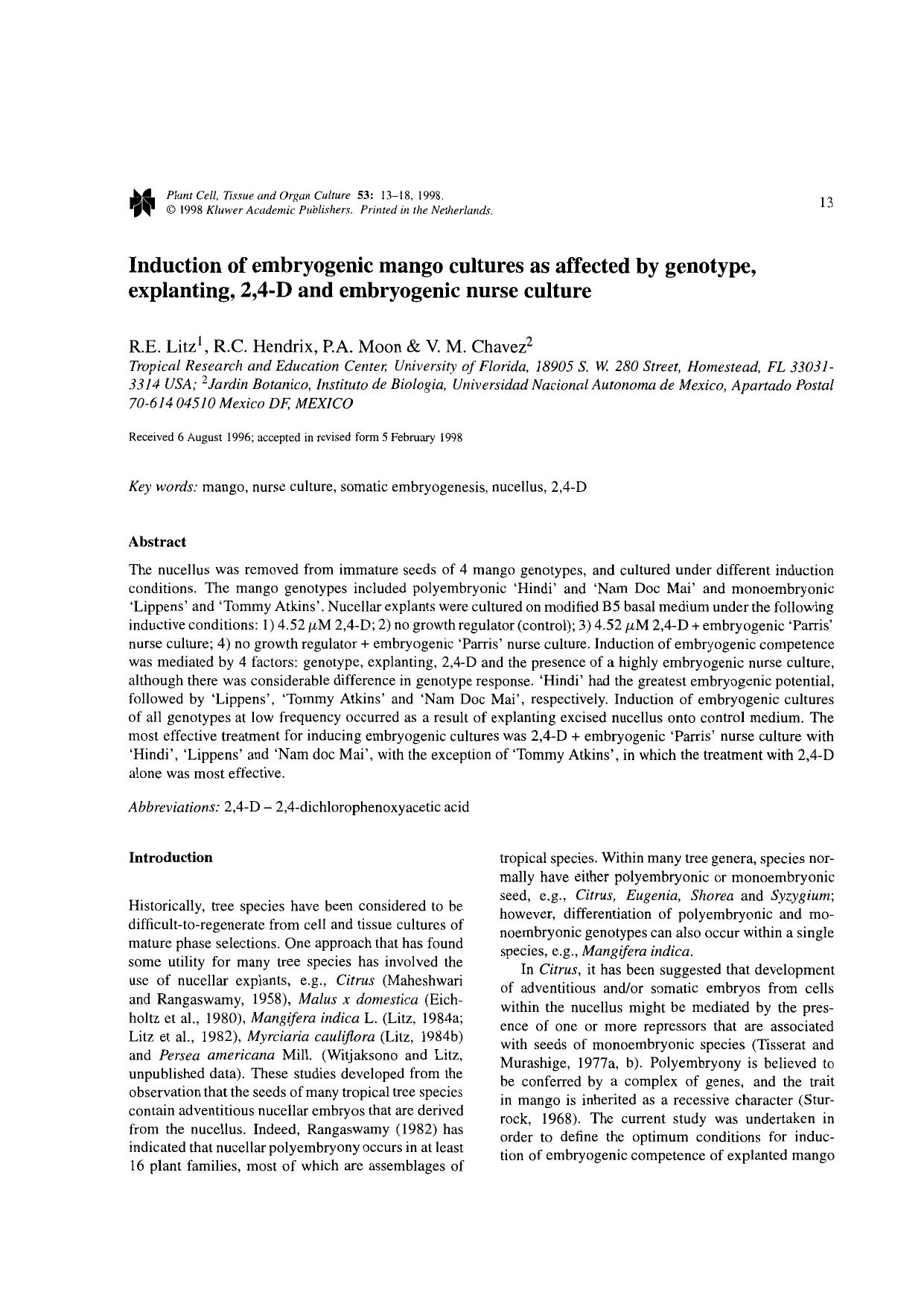 Induction of embryogenic mango cultures as affected by genotype, explanting, 2,4-D and embryogenic nurse culture by Unknown