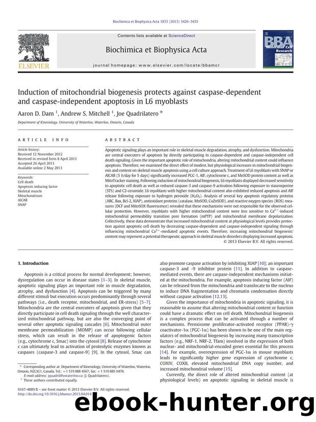 Induction of mitochondrial biogenesis protects against caspase-dependent and caspase-independent apoptosis in L6 myoblasts by Aaron D. Dam & Andrew S. Mitchell & Joe Quadrilatero