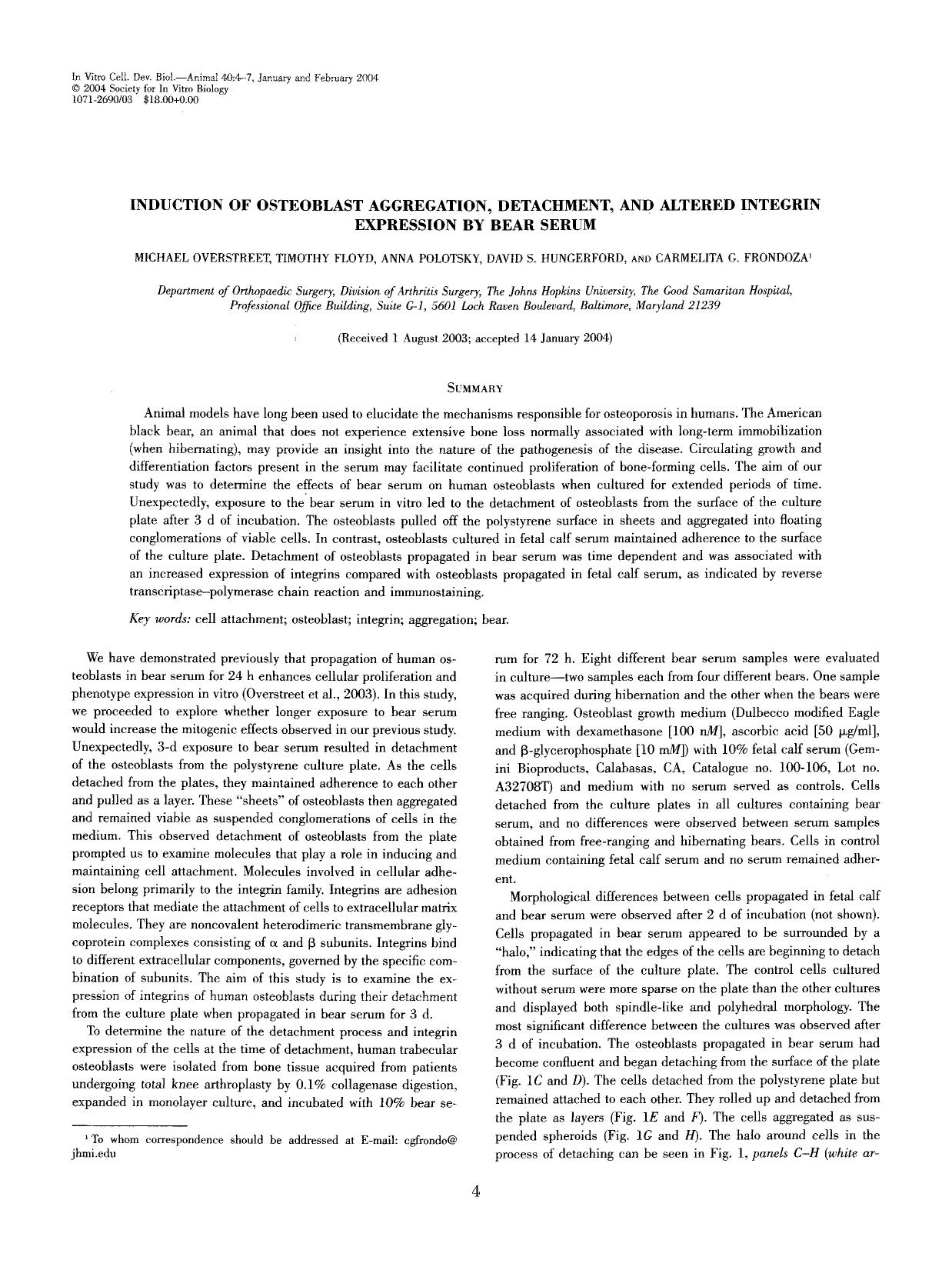 Induction of osteoblast aggregation, detachment, and altered integrin expression by bear serum by Unknown
