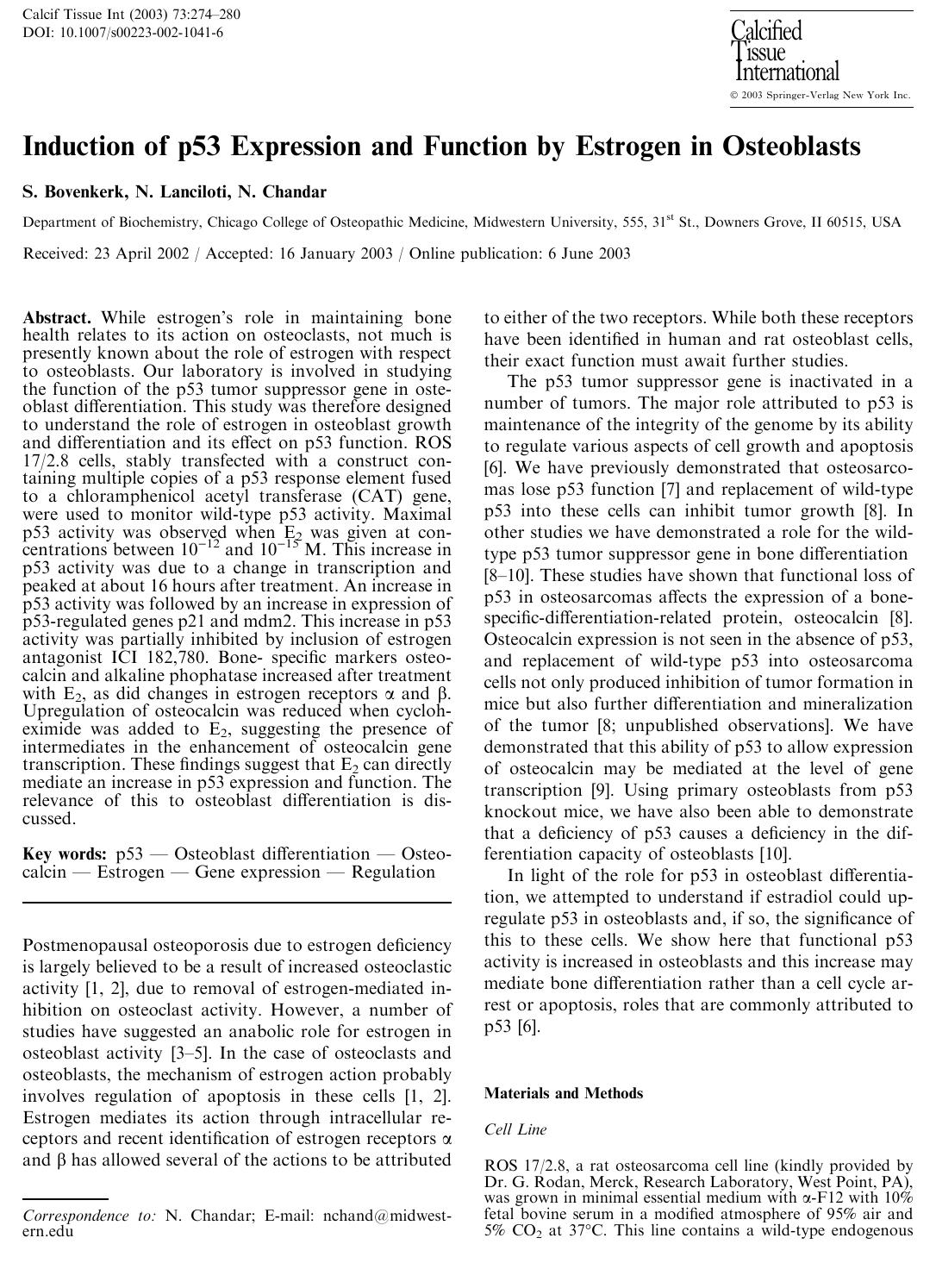 Induction of p53 Expression and Function by Estrogen in Osteoblasts by Bovenkerk S. et al