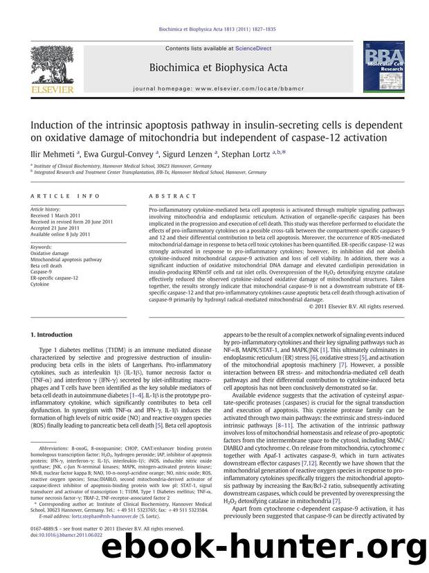 Induction of the intrinsic apoptosis pathway in insulin-secreting cells is dependent on oxidative damage of mitochondria but independent of caspase-12 activation by Ilir Mehmeti & Ewa Gurgul-Convey & Sigurd Lenzen & Stephan Lortz