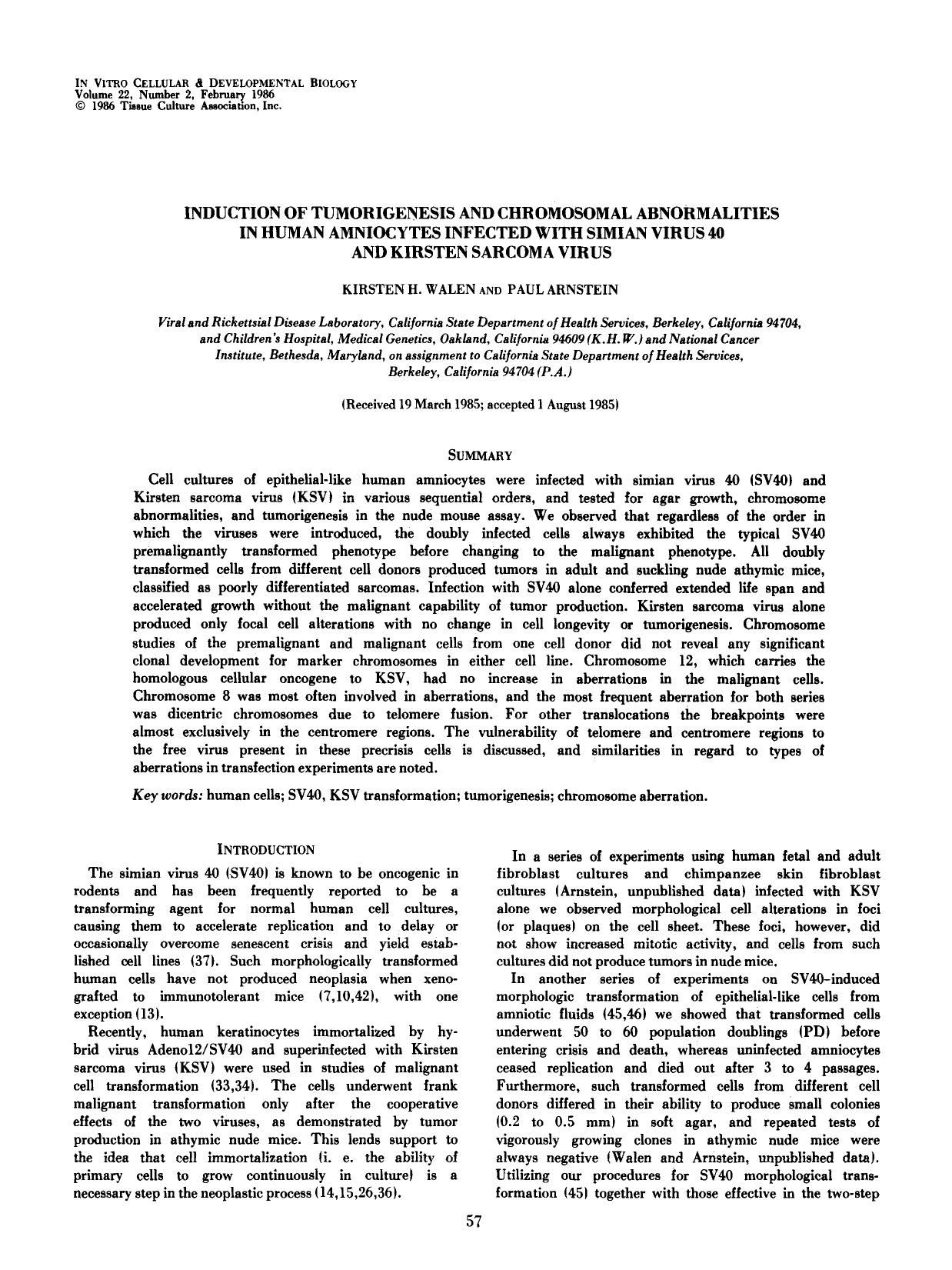 Induction of tumorigenesis and chromosomal abnormalities in human amniocytes infected with simian virus 40 and kirstein sarcoma virus by Unknown