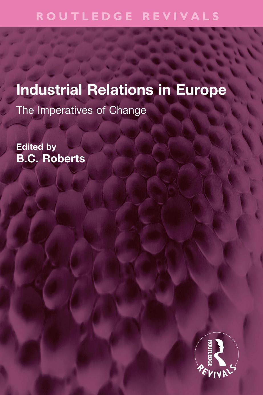 Industrial Relations in Europe: The Imperatives of Change by B.C. Roberts