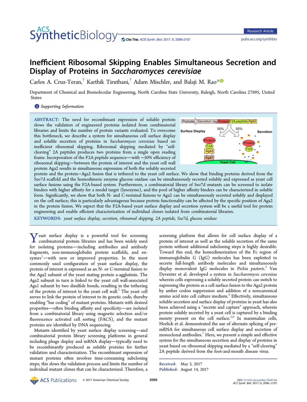Inefficient Ribosomal Skipping Enables Simultaneous Secretion and Display of Proteins in Saccharomyces cerevisiae by Carlos A. Cruz-Teran Karthik Tiruthani Adam Mischler and Balaji M. Rao