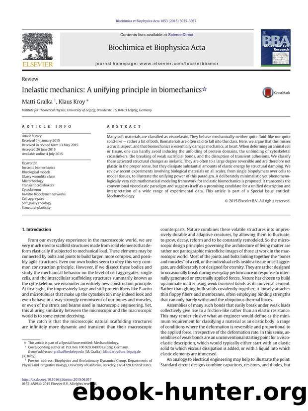 Inelastic mechanics: A unifying principle in biomechanics by Matti Gralka & Klaus Kroy