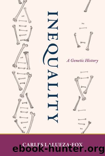 Inequality by Carles Lalueza-Fox