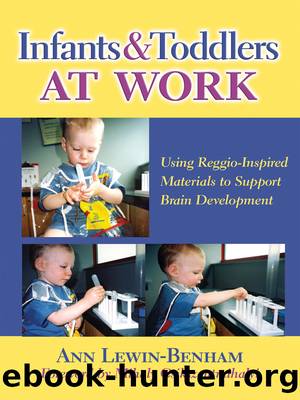 Infants and Toddlers at Work by Ann Lewin-Benham
