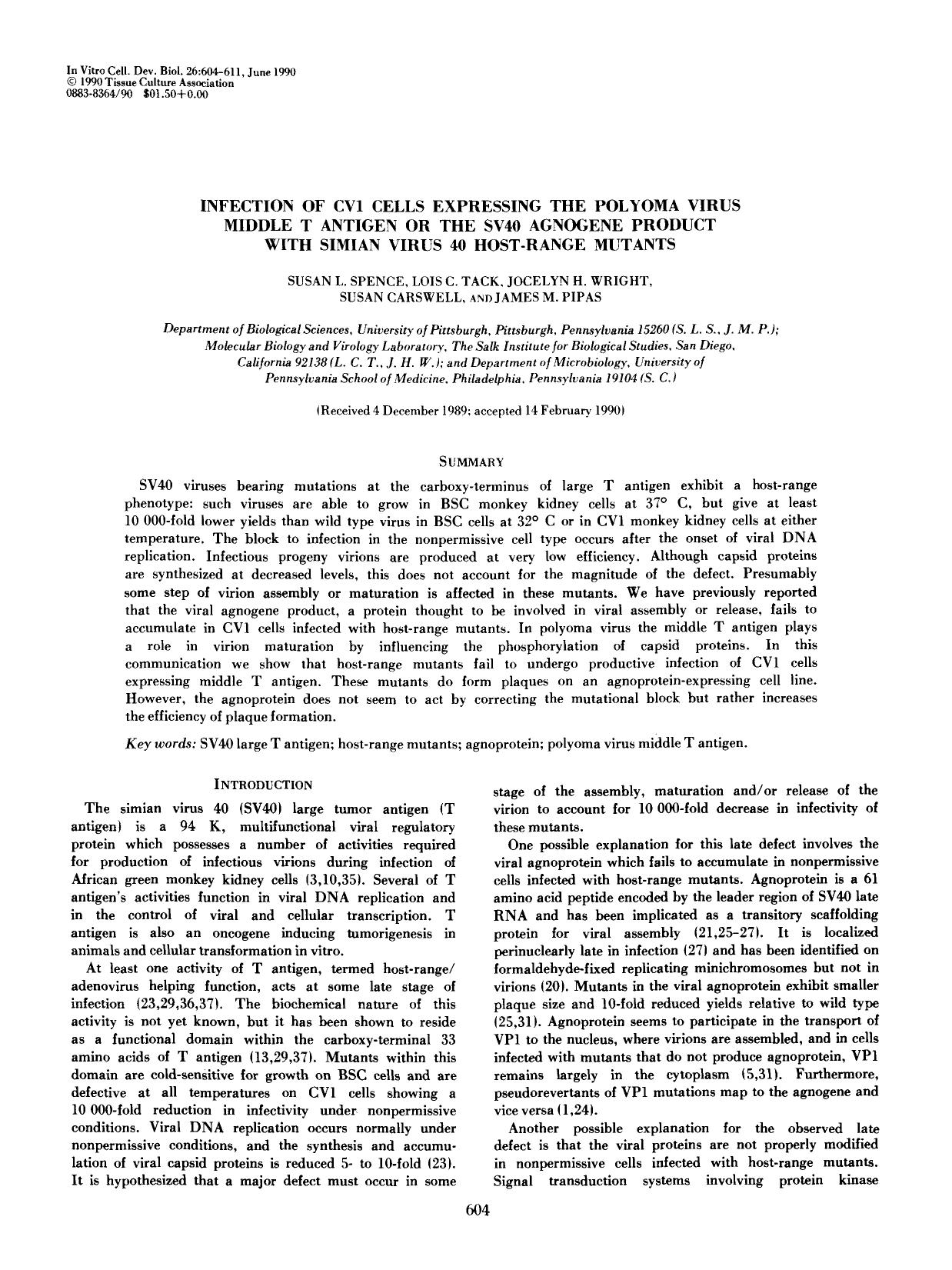 Infection of CV1 cells expressing the polyoma virus middle T antigen or the SV40 agnogene product with simian virus 40 host-range mutants by Unknown