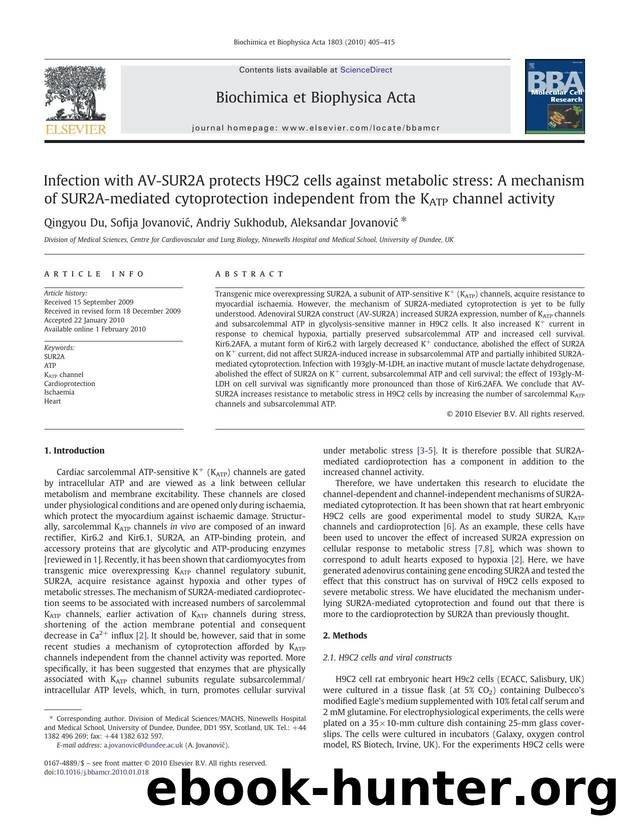Infection with AV-SUR2A protects H9C2 cells against metabolic stress: A mechanism of SUR2A-mediated cytoprotection independent from the KATP channel activity by Qingyou Du; Sofija Jovanović; Andriy Sukhodub; Aleksandar Jovanović